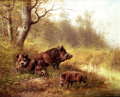 Wild Zwijn in het Zwarte Woud, 1880 door Moritz Muller